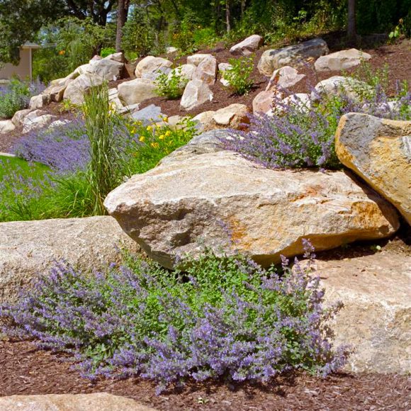 5 Tips for Choosing the Right Landscape Contractor 5 Tips for Choosing the Right Landscape Contractor