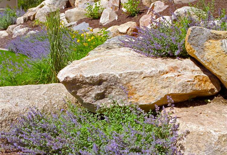 5 Tips for Choosing the Right Landscape Contractor 5 Tips for Choosing the Right Landscape Contractor