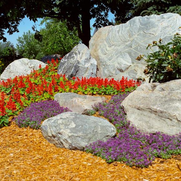 How to Find a Landscaping Company You Can Trust How to Find a Landscaping Company You Can Trust