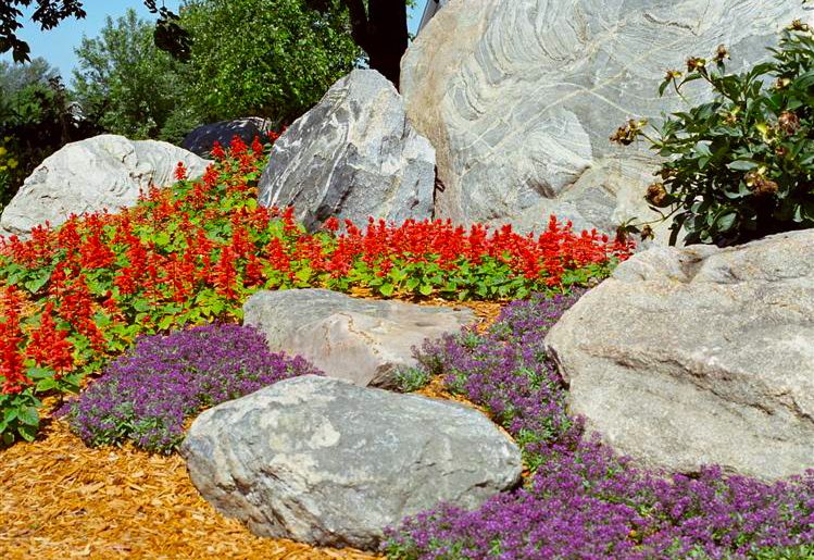 How to Find a Landscaping Company You Can Trust How to Find a Landscaping Company You Can Trust