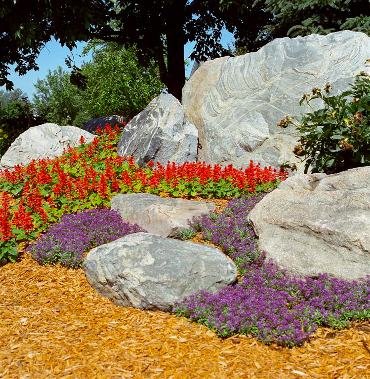 How to Find a Landscaping Company You Can Trust How to Find a Landscaping Company You Can Trust