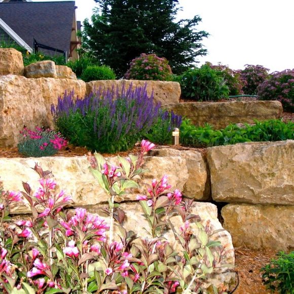 Planting for Pollinators: Butterflies and Bees Abound Planting for Pollinators: Butterflies and Bees Abound