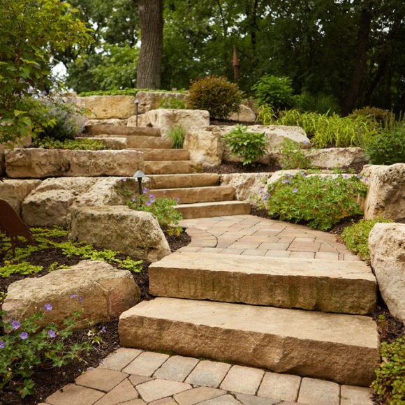 Spring is nearly here Spring is nearly here